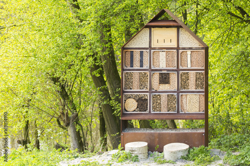 Manmade insect hotel in a green forest photo