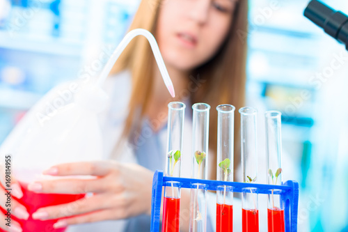 Research of photosynthesis of green plants. Food quality control of agricultural plans