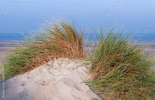 Dunes sur littoral picard © hassan bensliman