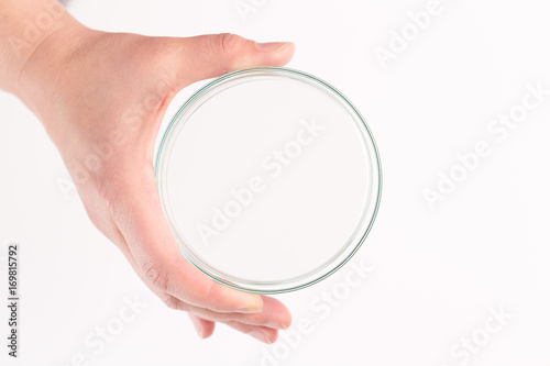 Empty petri dish for growing cultures of microorganisms in doctor hand , fungi and microbes. A Petri dish ( Petrie dish. Petri plate or cell-culture dish)