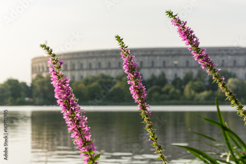 The  Kongresshalle  at the lake Dutzendteich in Nuremberg with lilac flowers