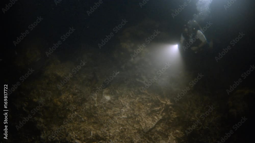 A medium shot of coral reef and fishes and scuba diver lighting his way to show more fishes. A medium shot of coral reef and fishes and scuba diver lighting his way to show more fishes.