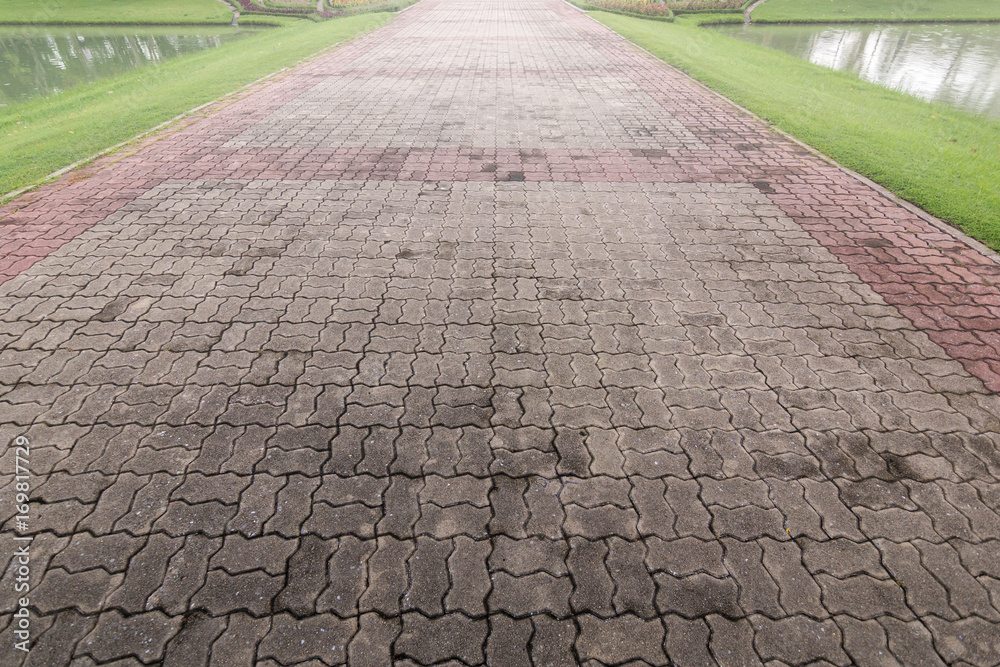 Fototapeta premium The walkway in the park