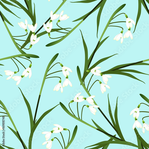 White Snowdrop Flower on Li...