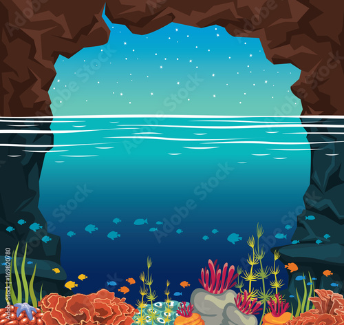Underwater sea - coral reef, cave, fish. Night sky.