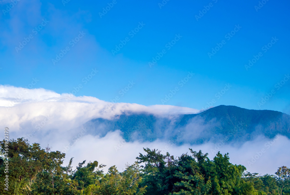 Clouds drifting over forests and mountains