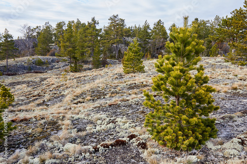 A trip through Lake Ladoga in May photo