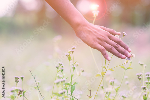 Concept of freedom with hand and meadow.