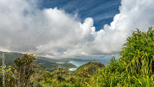 Coast line and rain forest in the Seychelles