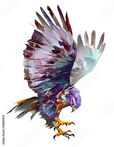 Tableau sur toile isolated painted flying bird hawk