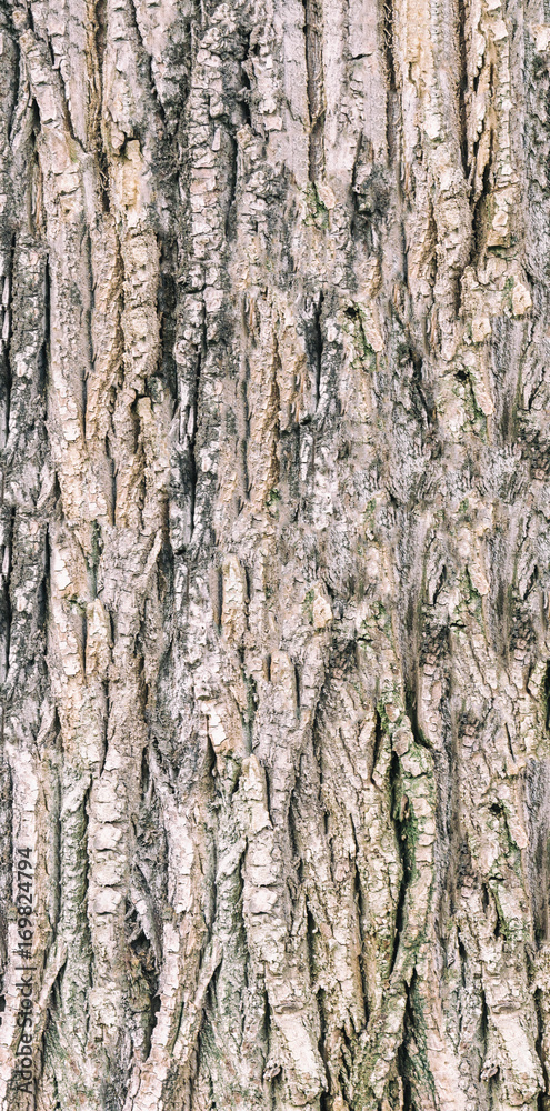 Texture of old wood. Mockup. Seamless texture. Vignetting Texture of old wood. Mockup. Seamless texture. Vignetting