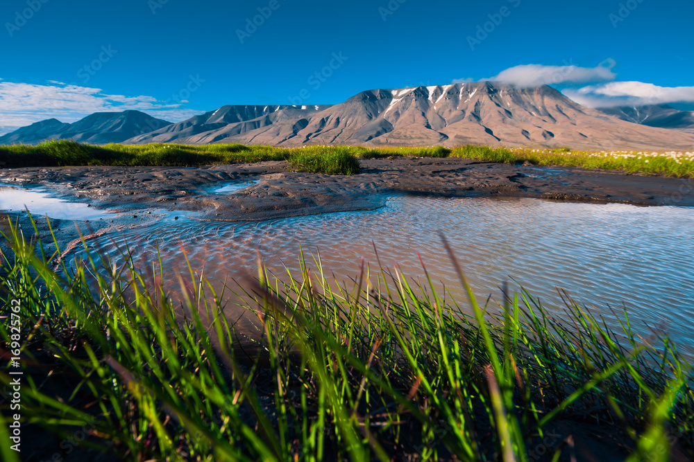 Obraz premium Landscape of a nature grass of a sunset sky with clouds in the mountains of Spitsbergen Svalbard near the Norwegian city Longyearbyen