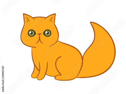 Fototapeta Naklejka Na Ścianę i Meble -  Sitting funny surprised fluffy red persian cat cartoon character starring at a viewer. What? face expression kitty. Scared & anxious & astonished goggle-eyed orange domestic pet kitten. Fluffy friend.