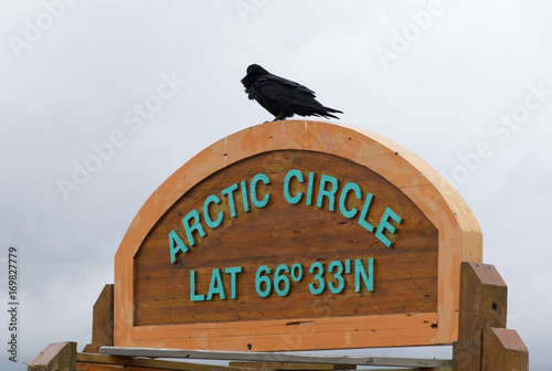 Crow on Arctic Circle sign northern Canada photo