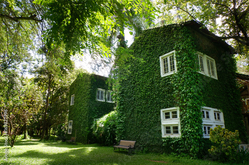 Beautiful green house in nature. 