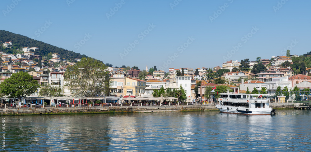 View of Heybeliada island from the sea with summer houses. the island is the second largest one of four islands named Princes' Islands in the Sea of Marmara, near Istanbul, Turkey