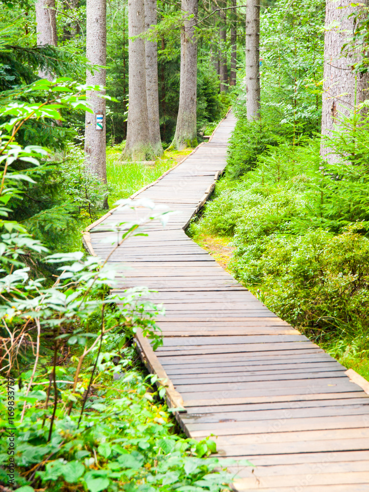 Wooden boardwalk in forest leads to Great Moss Lake, Rejviz, Jeseniky Mountains, Czech Republic. Wooden boardwalk in forest leads to Great Moss Lake, Rejviz, Jeseniky Mountains, Czech Republic.