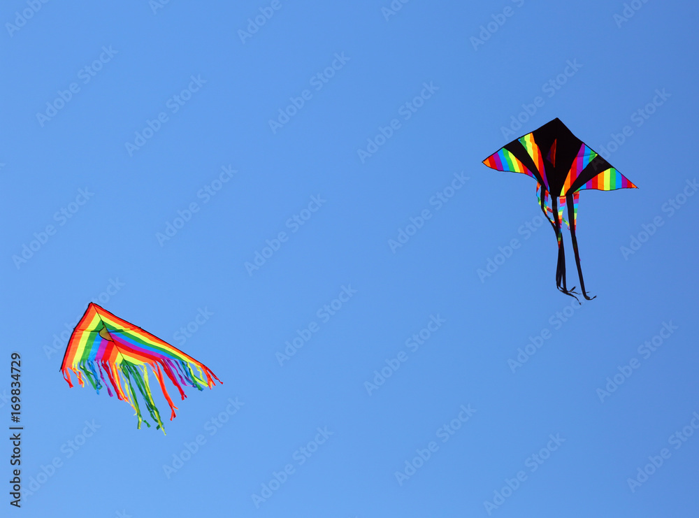 Two huge kites fly in the blue sky in the summer