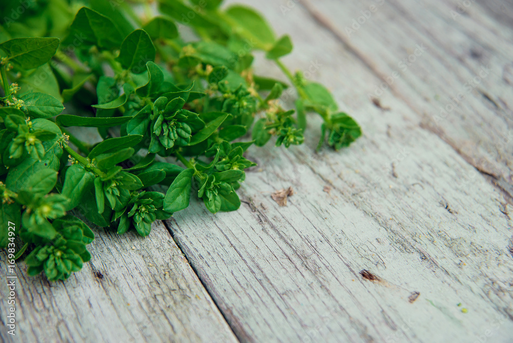 bundle of spinach on wooden background. bundle of spinach on wooden background.
