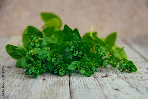 bundle of spinach on wooden background.