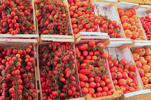 many boxes with tomatoes