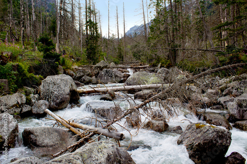 Landscape with mountain river