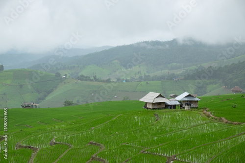 Stepped rice terrace at BAAN BONG PEANG, Maecham, Chiangmai, Thailand photo