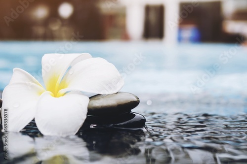 Vintage style photo is white plumeria with water pool background