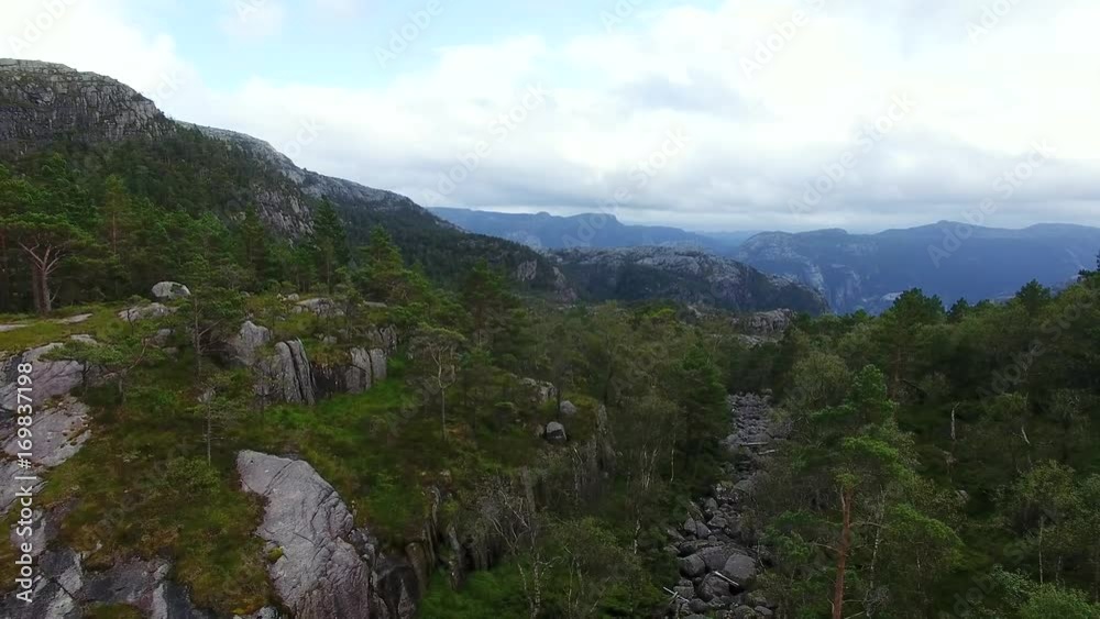 Aerial view of the creek in a mountain forest in summer
