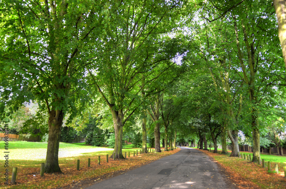 Wollaton park Nottingham Nottingham, UK, England..