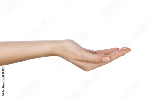 Woman hand with palm up on white background.