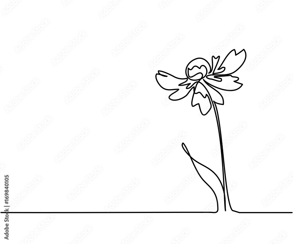 Beautiful flowers Echinacea. Continuous line drawing. Vector illustration