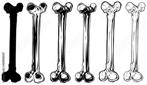 Graphic black and white human bone vector set