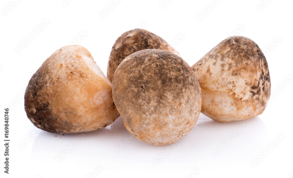 Straw mushrooms isolated on white background Straw mushrooms isolated on white background