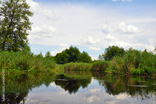 View of the river on a sunny day