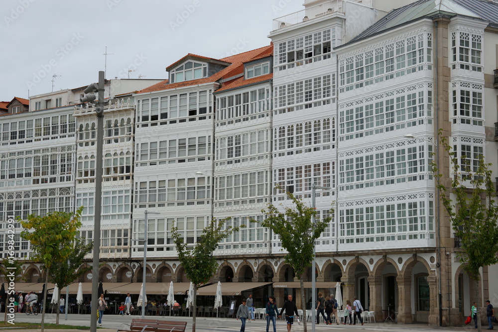 Obraz premium lacoruna