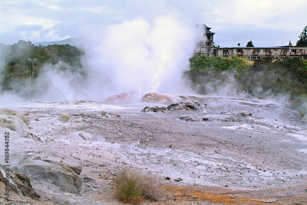 Fototapeta premium New Zealand, Rotorua