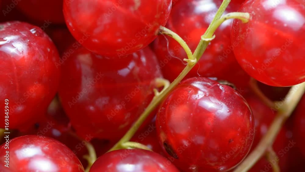 Red currant berries close-up with the effect of scaling