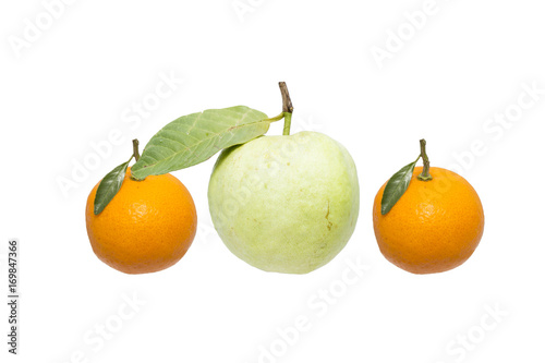 Citrus and guava fruit with leaves on a white background