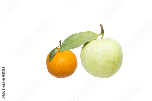 Citrus and guava fruit with leaves on a white background