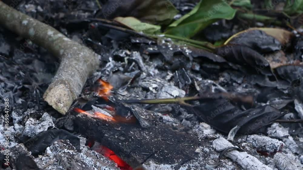 Fire Burns with moving flames and smoke
Fire Burns with moving flames and smoke