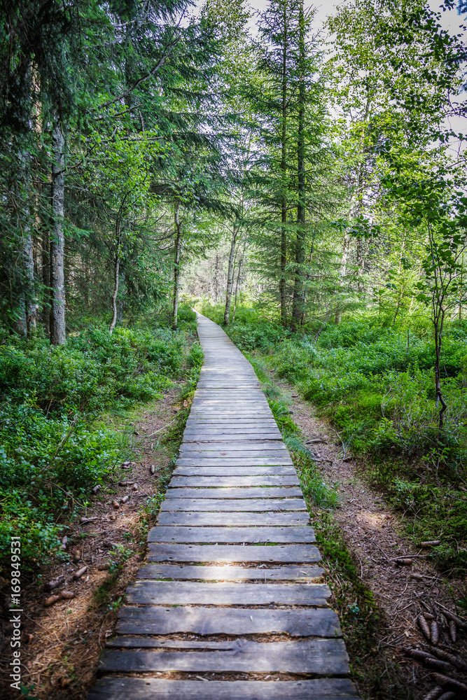 Schonach im Schwarzwald Wandern und Wintersport Schonach im Schwarzwald Wandern und Wintersport