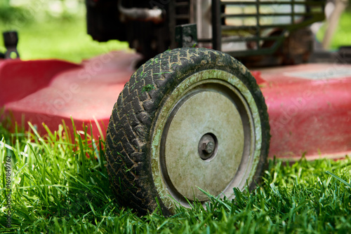 Low angle close up of lawnmower cutting fresh green grass