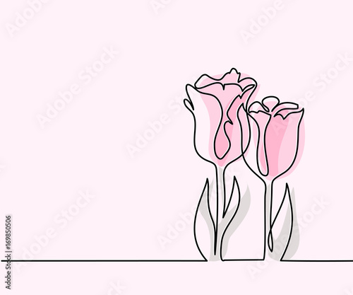 Fototapeta Beautiful pink tulips flowers. Continuous line drawing. Vector illustration