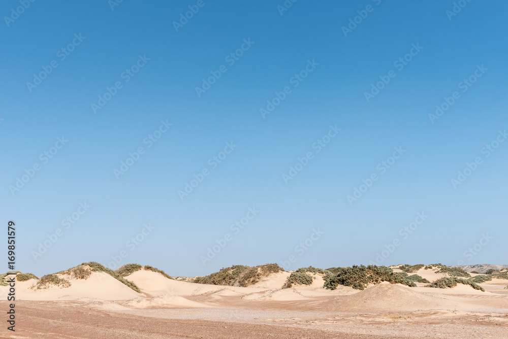 Typical Namib desert coastal dunes in the Skeleton Coast area