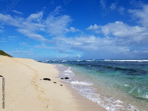 Wallpaper Mural Foot prints in the sand on Camp Harold Erdman Beach Torontodigital.ca