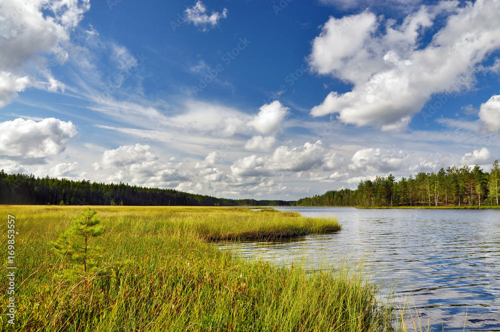 Lake landscape with a forest and the beautiful sky with clouds on a summer day. Karelia, Russia.