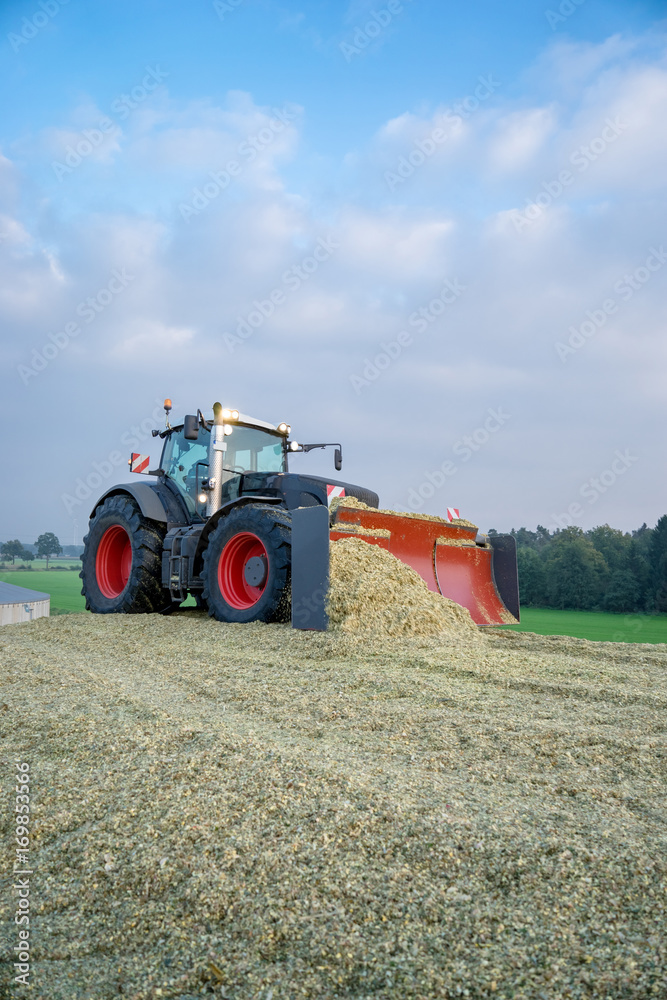 Obraz premium Traktor planiert Maishaufen, Hochformat