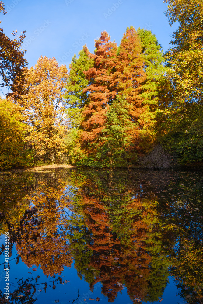 Autumn colors on the lake. Autumnal Park. Autumn Trees