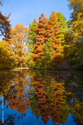 Autumn colors on the lake. Autumnal Park. Autumn Trees